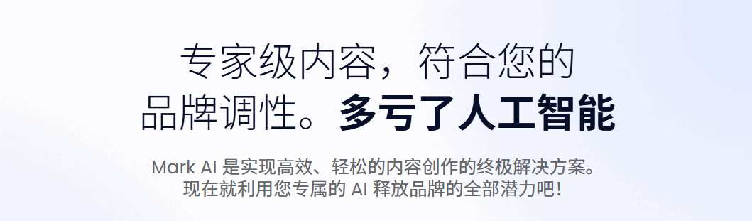 Mark Copy 网站截图预览