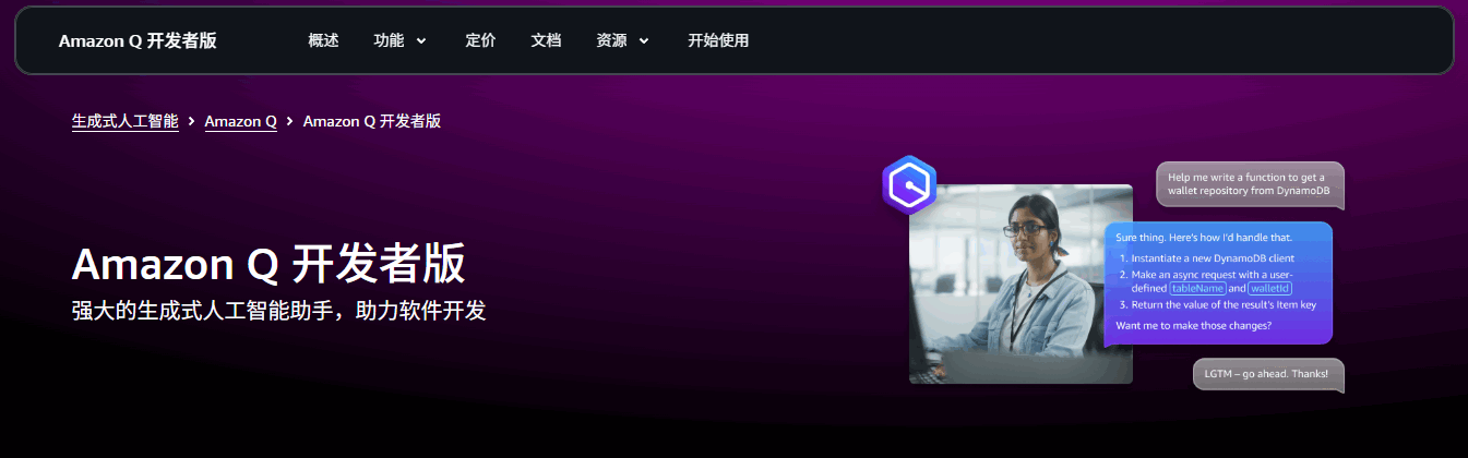 Amazon Q 网站截图预览