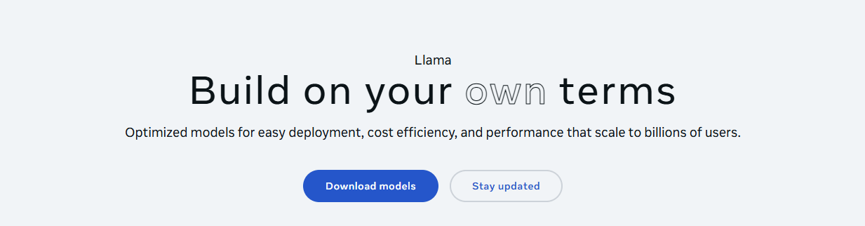 Llama 网站截图预览