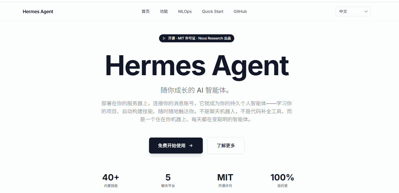 Hermes Agent 网站截图预览